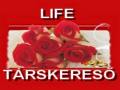 http://lifetarskereso.hu ismertető oldala